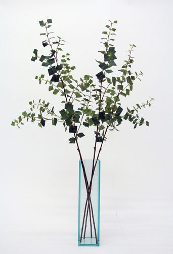 Tall glass vase with eucalyptus branches