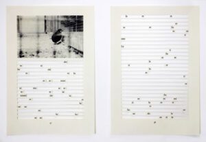 Two art pages: bird photograph and lined text