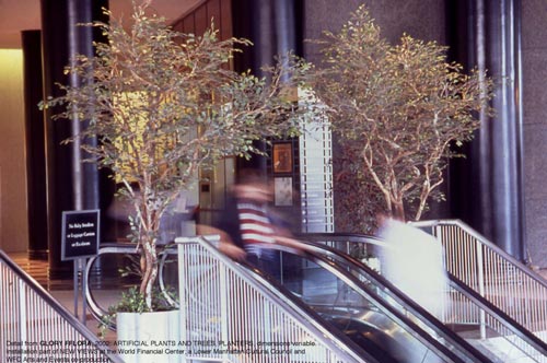 Closeup view of the plants and escalator