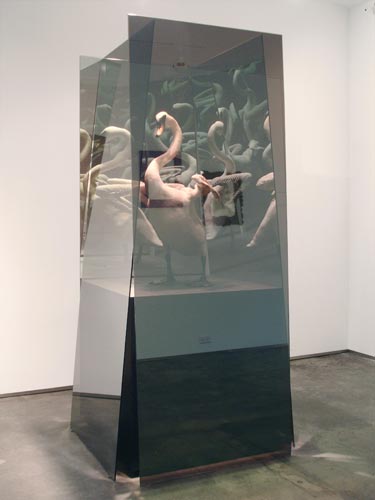 Naked Swan II, 2008, silicon, 2-way mirrored glass, wood, 78”x36”x36”.