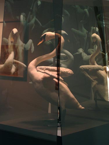 Naked Swan II,detail, 2008, silicon, 2-way mirrored glass, wood, 78”x36”x36”.
