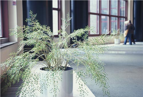 View of the artificial plant pot on the floor