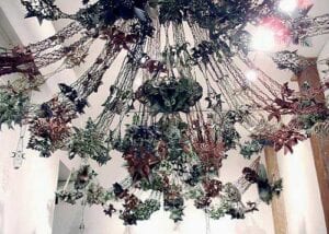 A ceiling with many different types of plants hanging from it.