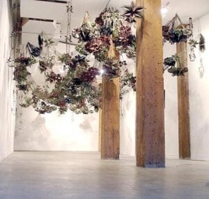 A room with many plants hanging from the ceiling.