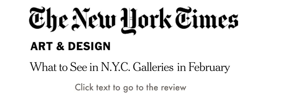 New York Times_Books
